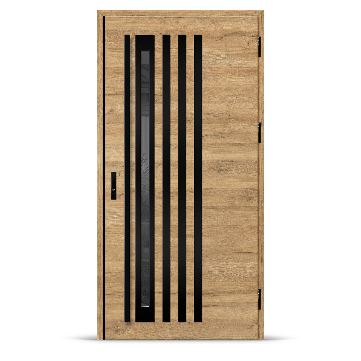 Входна врата TREBUR 12