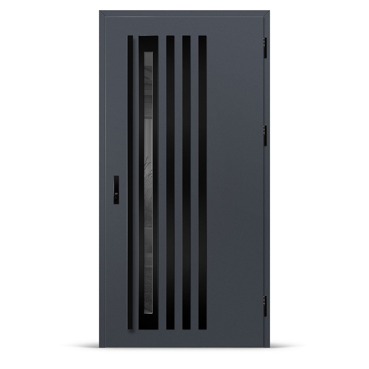 Входна врата TREBUR 12