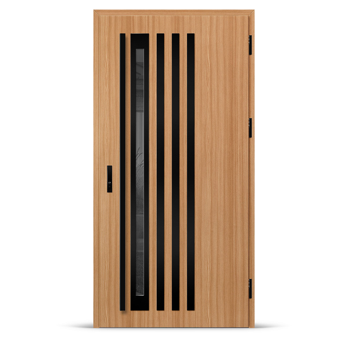 Входна врата TREBUR 12