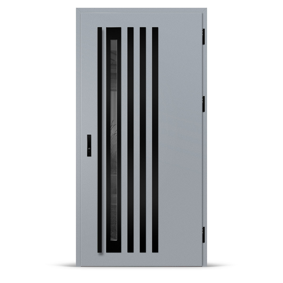 Входна врата TREBUR 12