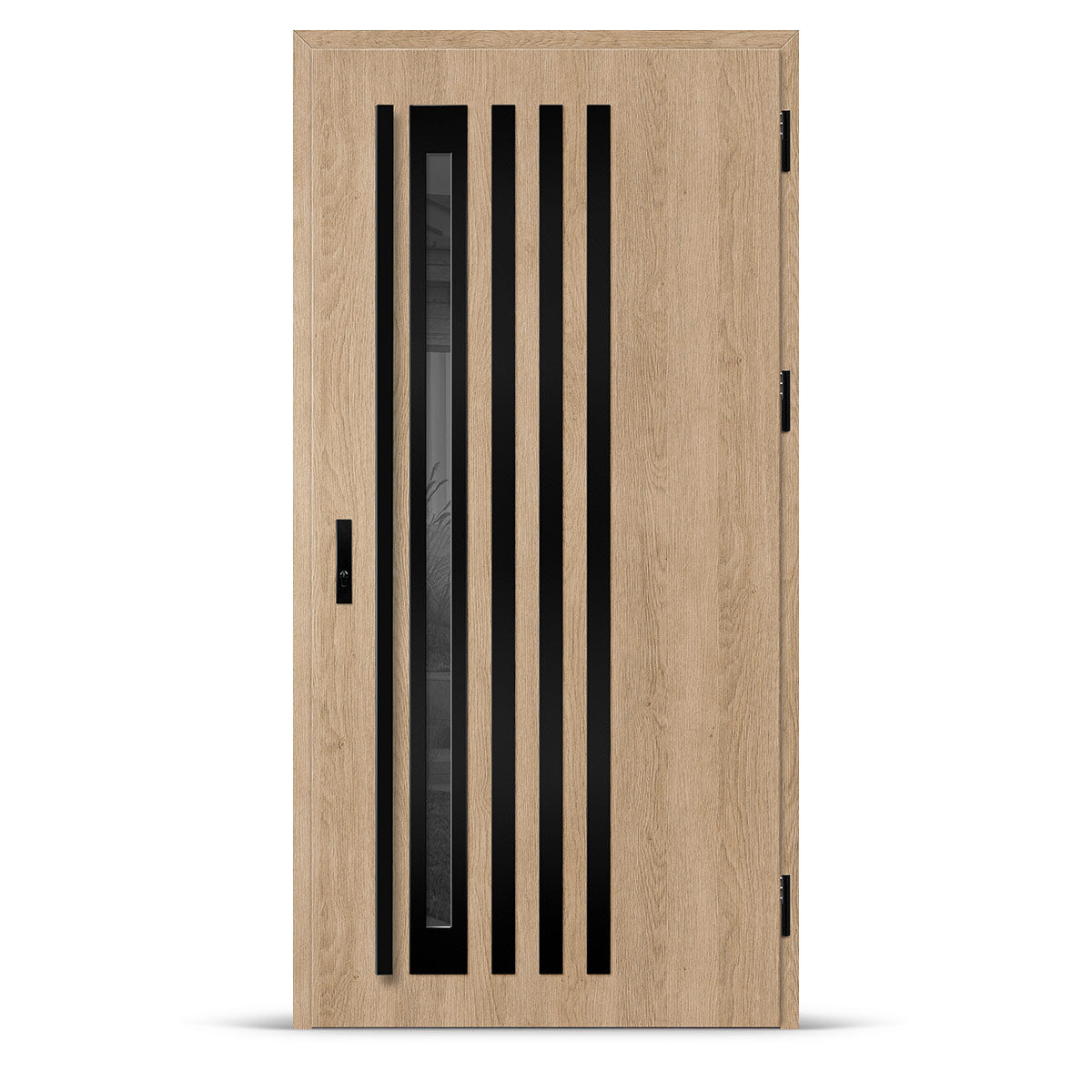 Входна врата TREBUR 12