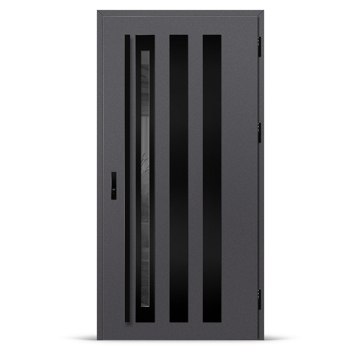 Входна врата TREBUR 13