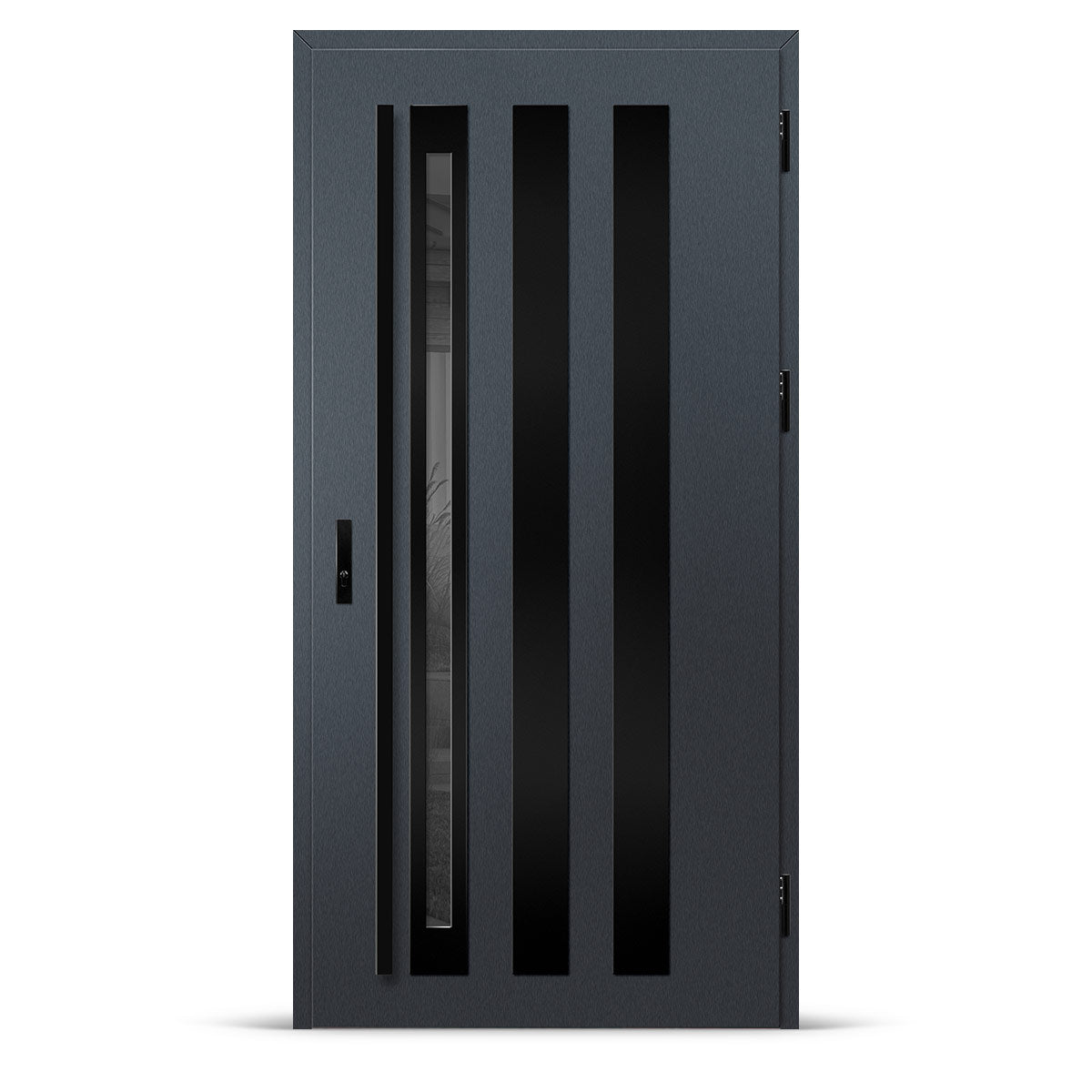 Входна врата TREBUR 13