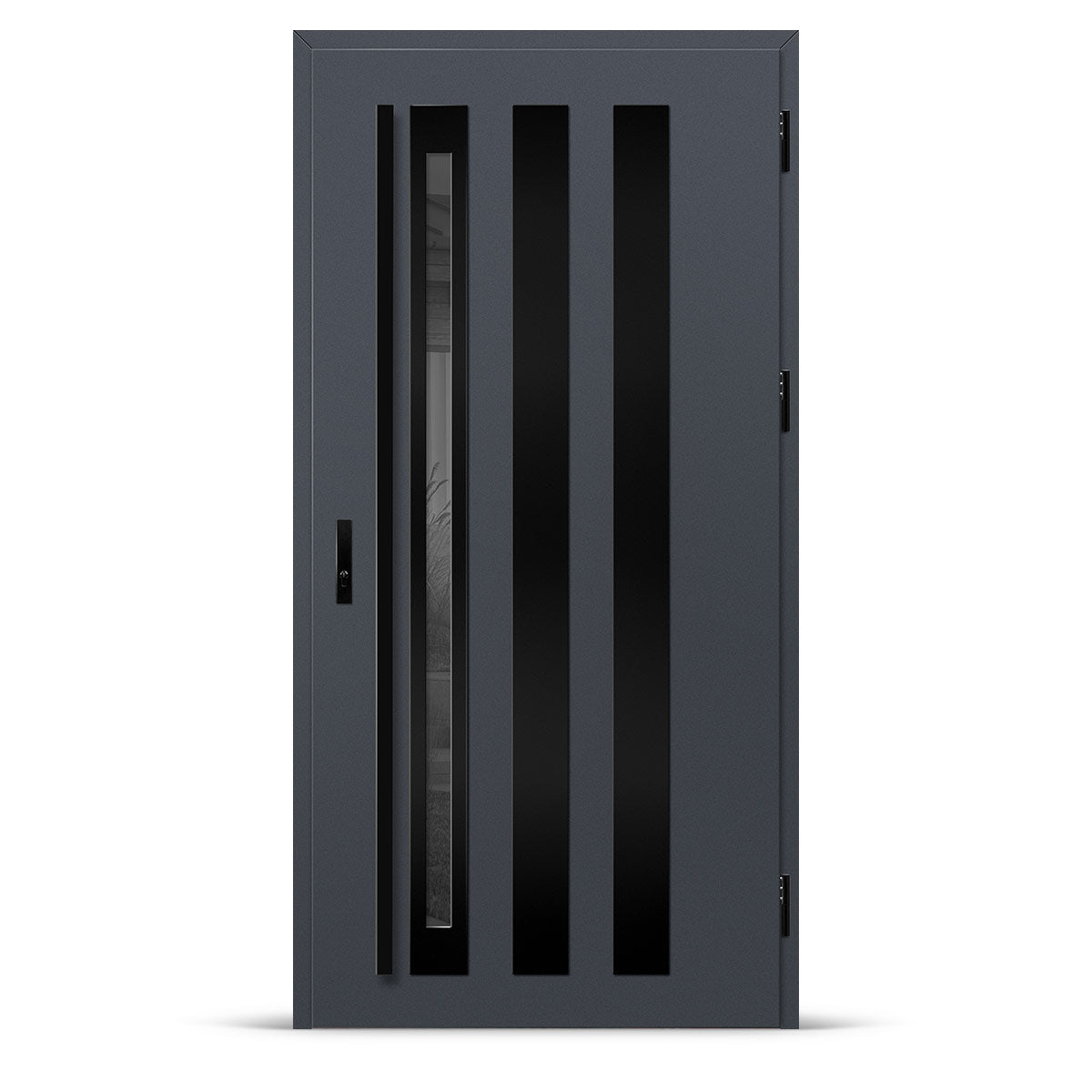 Входна врата TREBUR 13