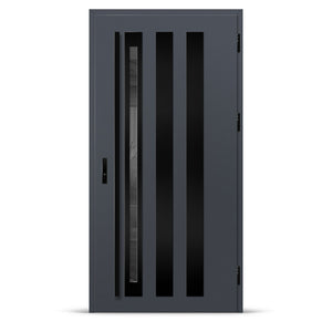 Входна врата TREBUR 13