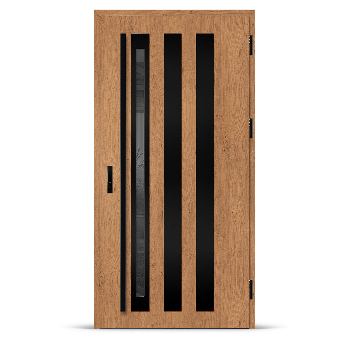 Входна врата TREBUR 13