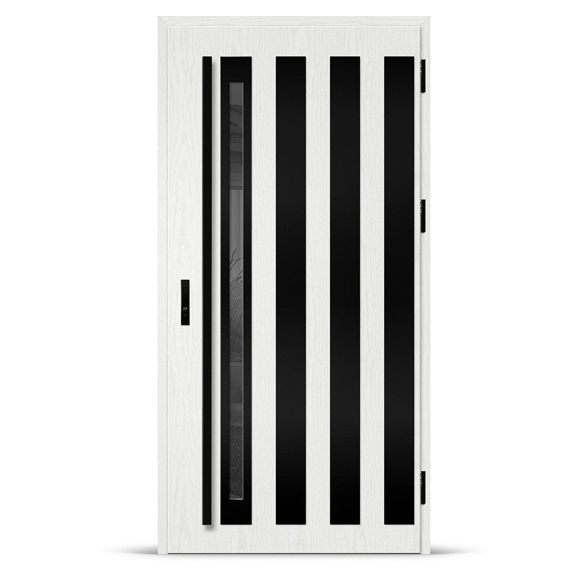 Входна врата TREBUR 14