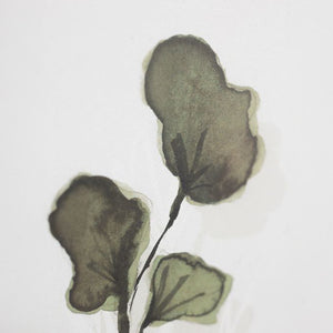 Картини SEAPLANT