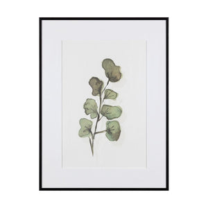 Картини SEAPLANT
