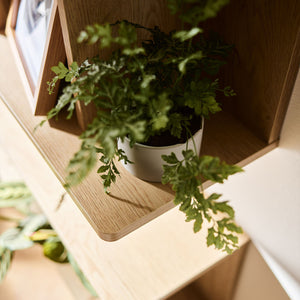 Широка етажерка за стена Well