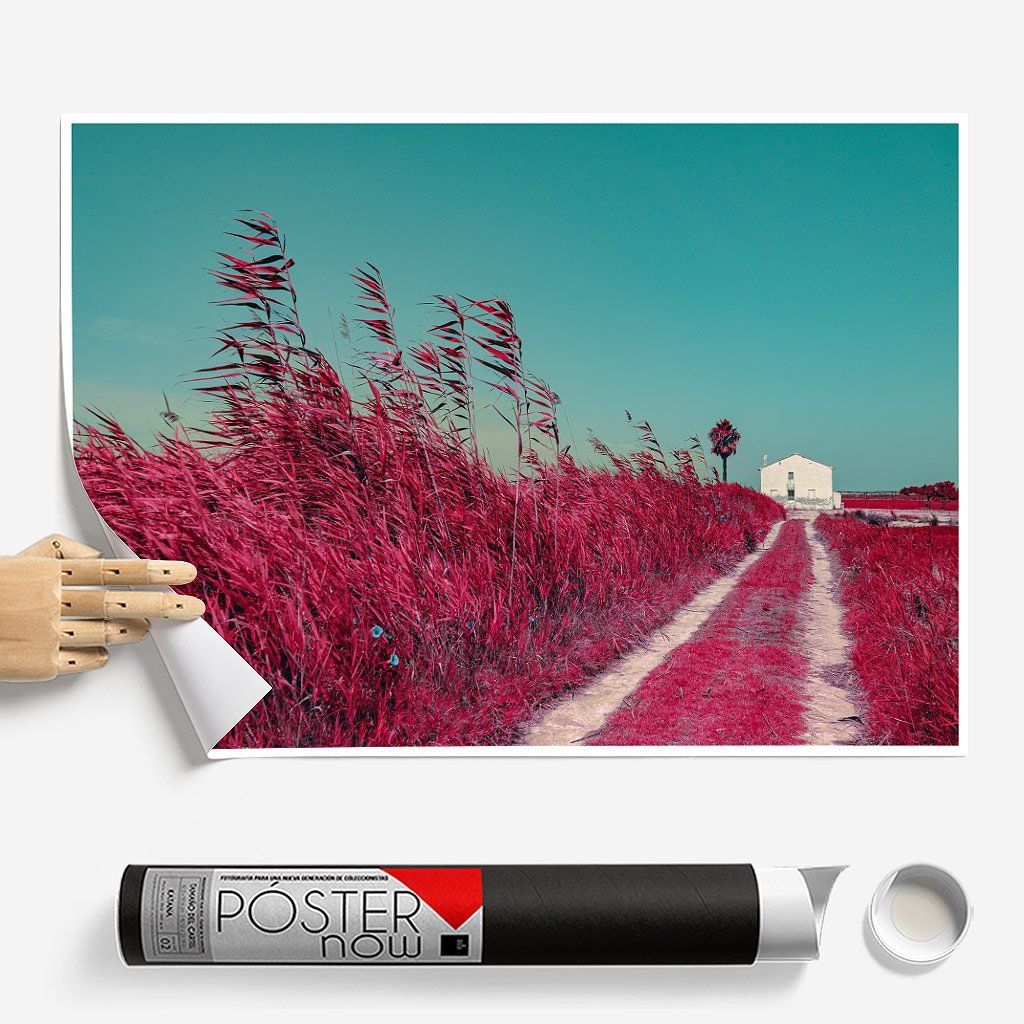 Постер "Albufera-Infrared" на Monochrome Hub Gallery от Флор Декор