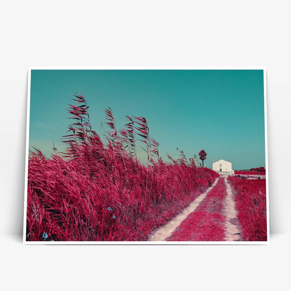 Постер "Albufera-Infrared" на Monochrome Hub Gallery от Флор Декор