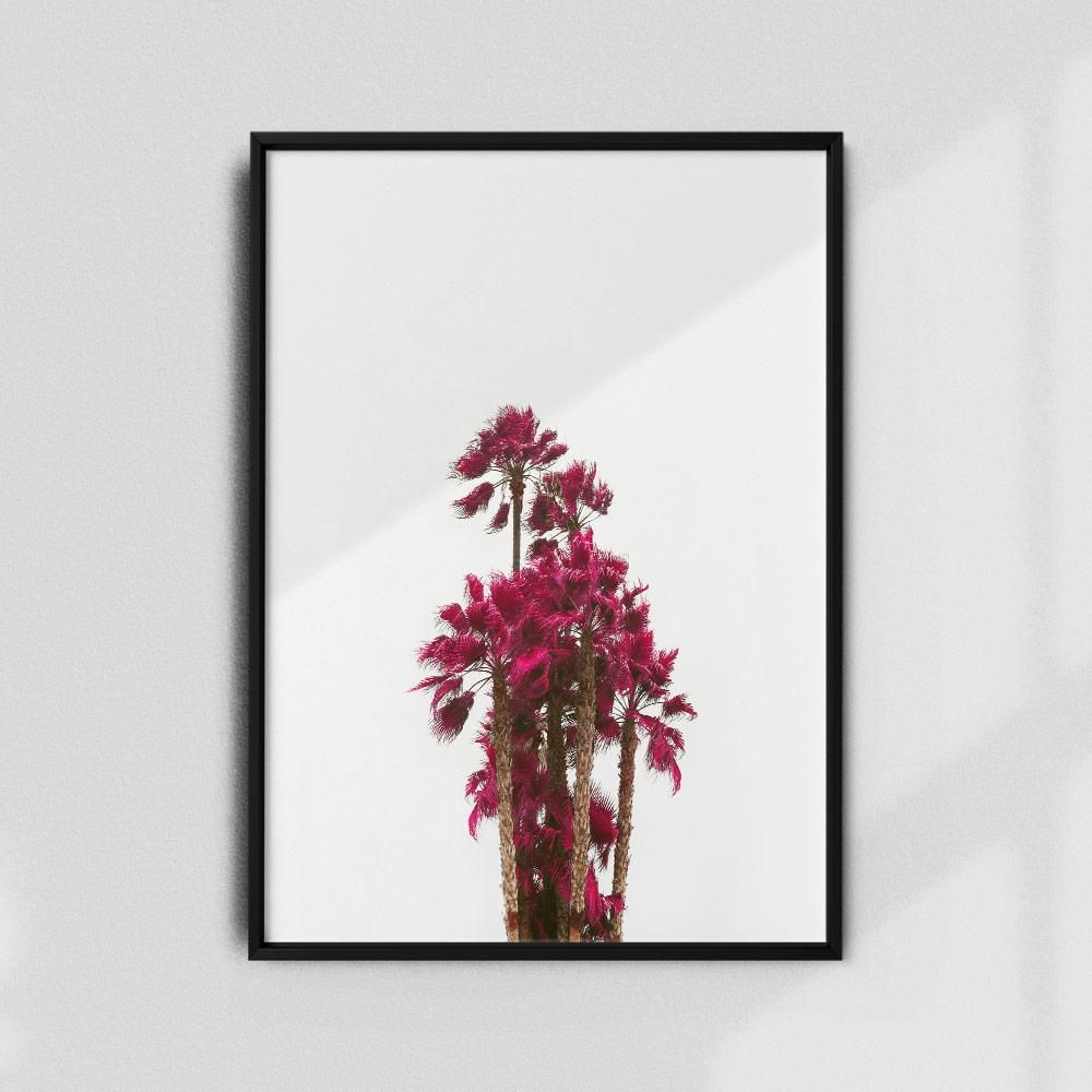 Постер "Cannes, Palmas-Infrared-I" на Monochrome Hub Gallery от Флор Декор