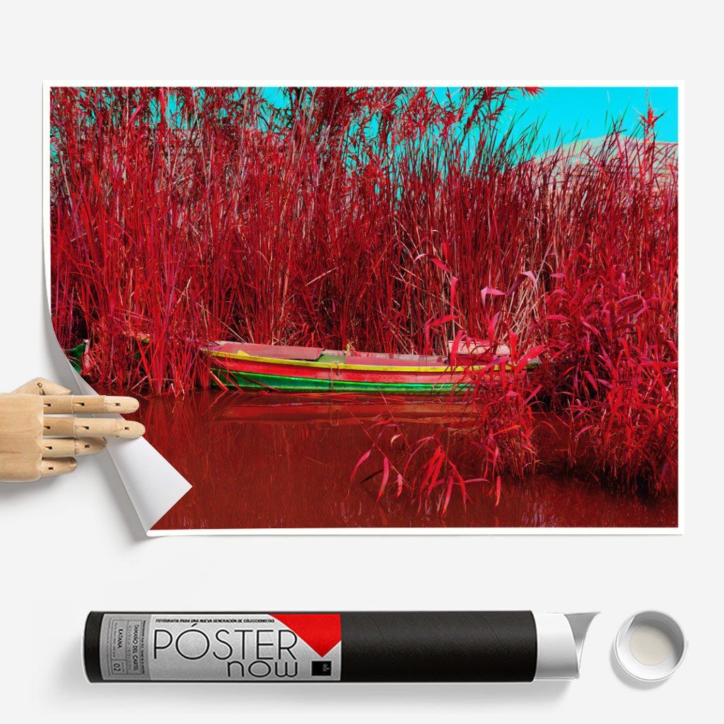Постер "Albufera-Infrared-II" на Monochrome Hub Gallery от Флор Декор