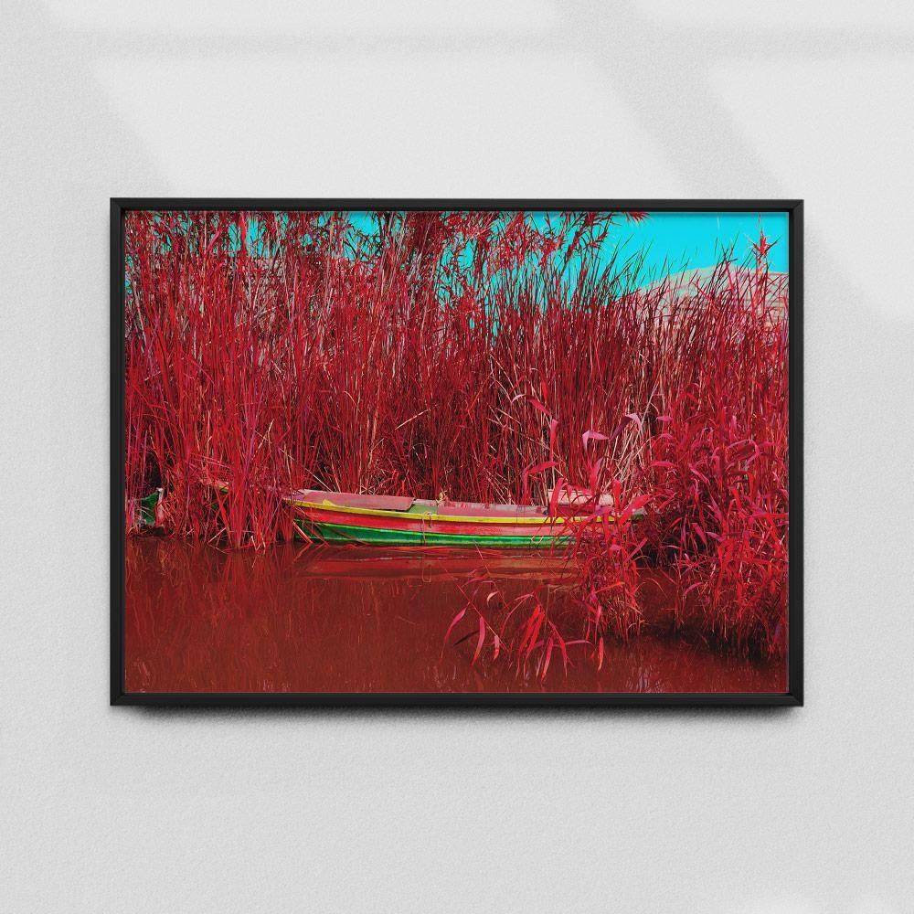 Постер "Albufera-Infrared-II" на Monochrome Hub Gallery от Флор Декор