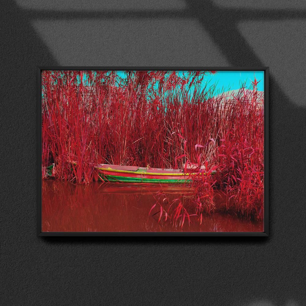 Постер "Albufera-Infrared-II" на Monochrome Hub Gallery от Флор Декор