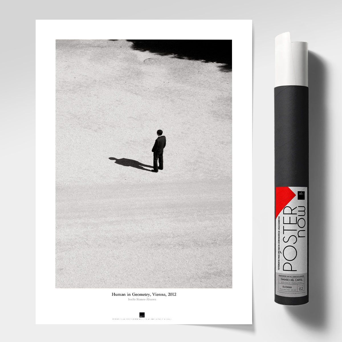Постер "Human in geometry-Vienna" на Monochrome Hub Gallery от Флор Декор