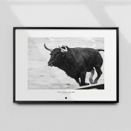 Постер "El Toro, Valencia" на Monochrome Hub Gallery от Флор Декор